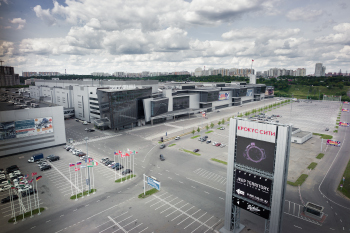 Image of "Crocus Expo"